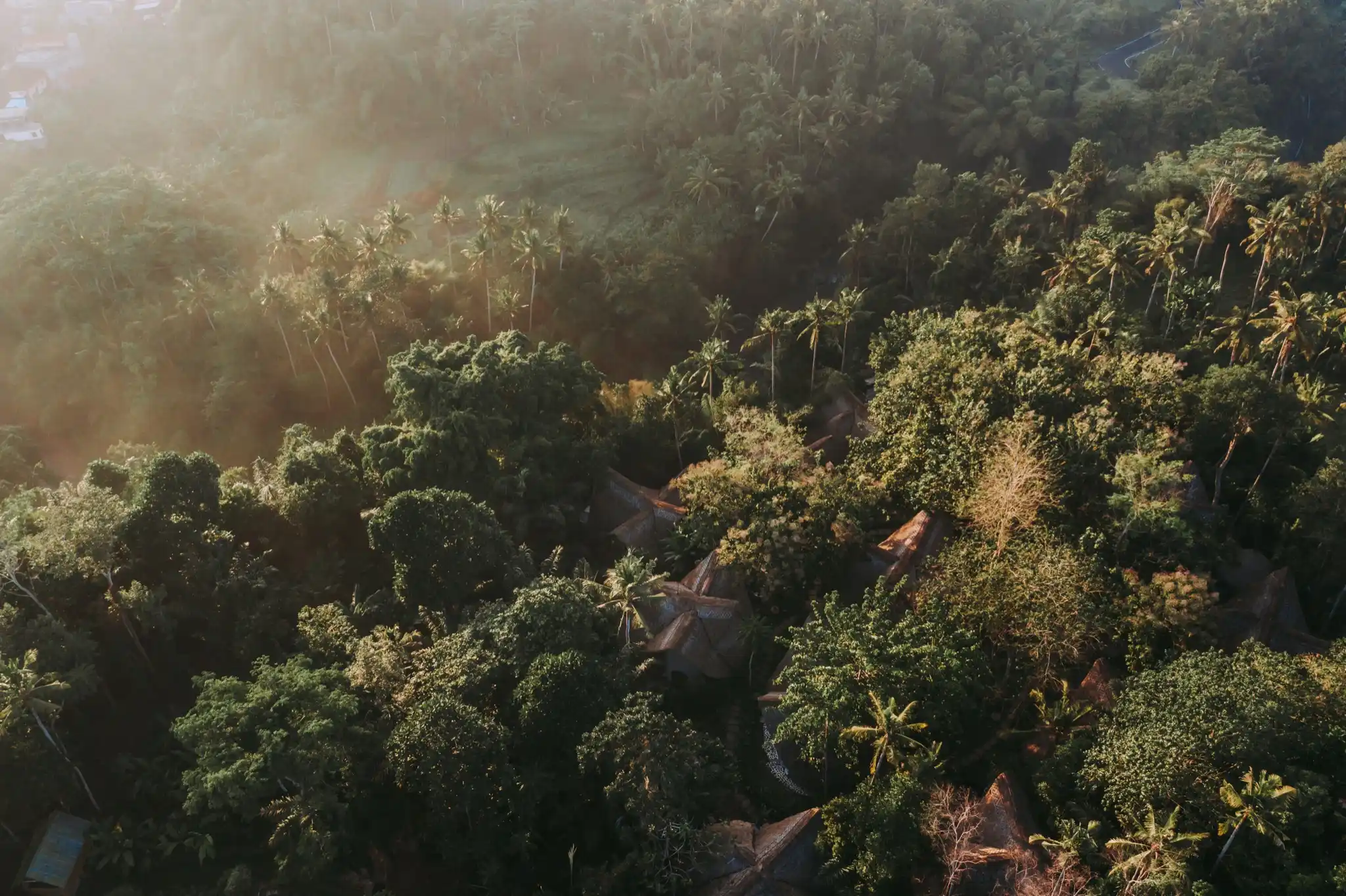 Aerial view over the jungle canopy