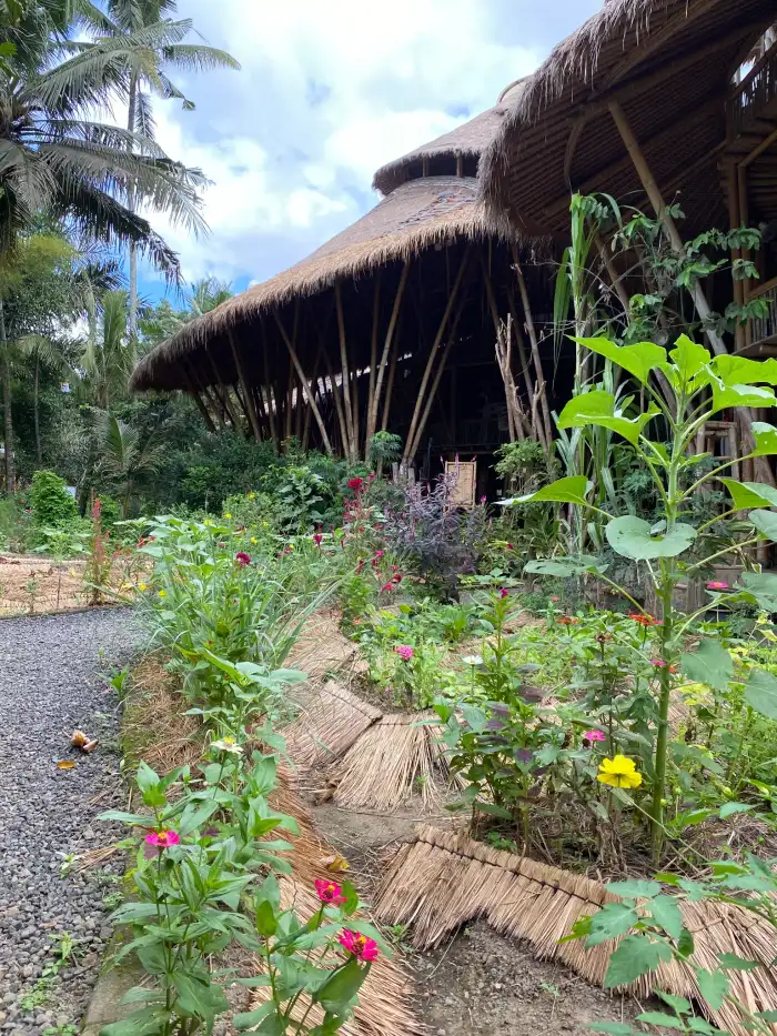 Green School Bali campus surrounded by greenery