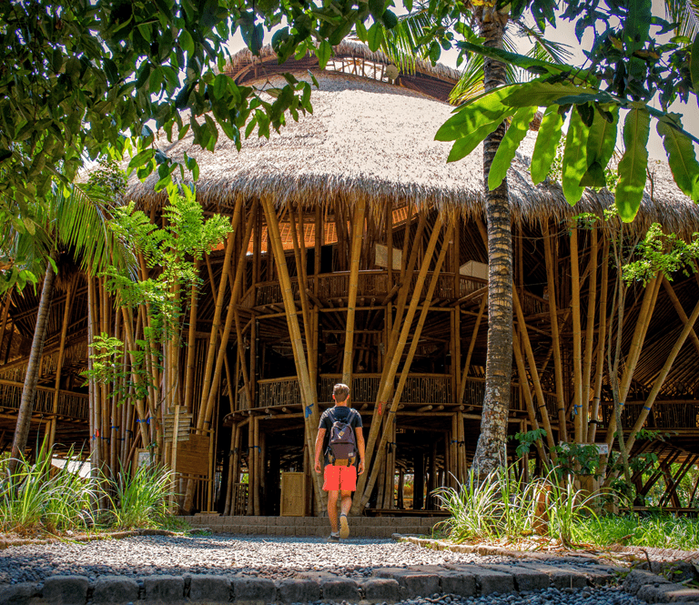 Green School Architecture