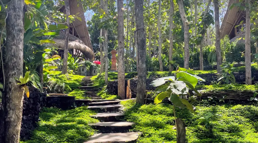 Stone steps leading uphill through the jungle past a small shrine