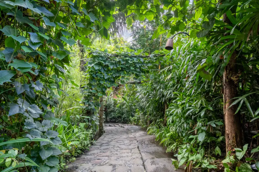 Vine-covered walkway leading through a jungle archway