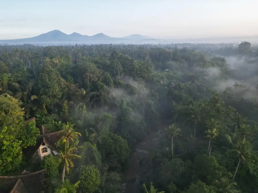Aerial view of misty jungle and rice fields at sunrise with distant volcanoes