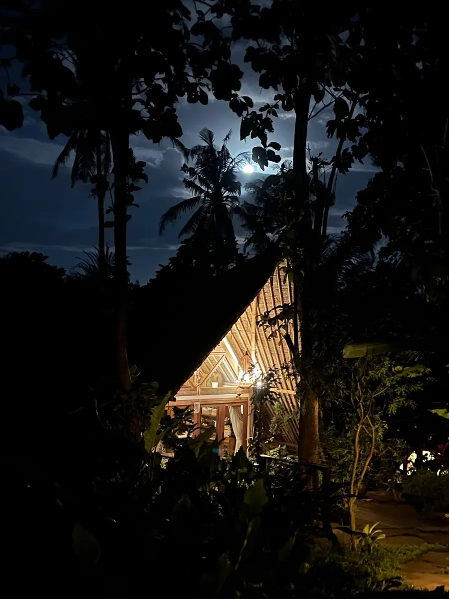 Full moon rising over a villa rooftop at night